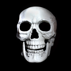 Obraz premium Human skull on a black background