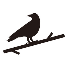 raven vector icon illustration sign