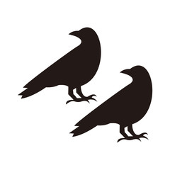 raven set, vector icon illustration sign