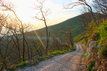 sunset rural road to the hill top