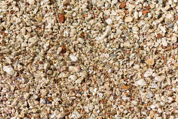 small sea stones on the beach close-up