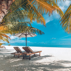 Obraz na płótnie Canvas Amazing summer beach, tropical nature scenery with palm leaves and loungers in vintage colors. Tranquil beach view, exotic landscape for summer vacation or travel concept