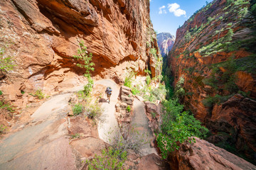 Zion Natural park in Utah USA. Beautiful view of valley and path for hikers. Amazing nature of USA