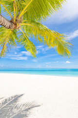 Summer beach concept. Palm leaves and blue sea over white sand. Paradise island concept, travel and vacation banner. Tranquility and relaxation pattern