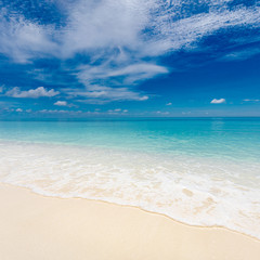 Summer beach and sea. Tropical pattern with blue sky and calm waves splashing. Exotic nature backdrop, coastline and beach