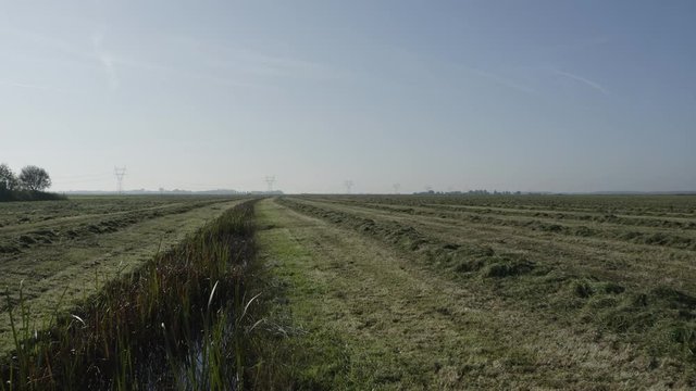 Drone over field Netherlands