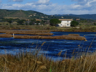 Vieux salins d'Hyères