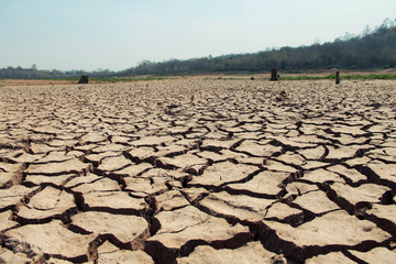 The drought land texture in Thailand.