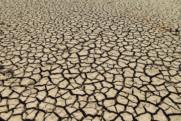 The drought land texture in Thailand.