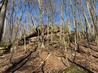 Some early spring photos from state forest