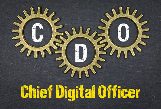 CDO Chief Digital Officer