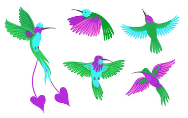 Kolibrie vogels set geïsoleerd op een witte achtergrond. Vectorafbeeldingen.