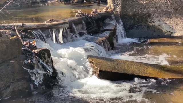 State park creak in early spring