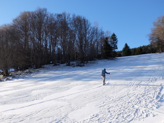 sklieuse de randonnée en ski dans la forêt en neige