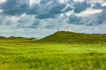Dünenlandschaft in Dänemark