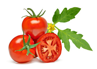 Tomatoes with twig or branch on flowers and leaves isolated on white background including clipping...