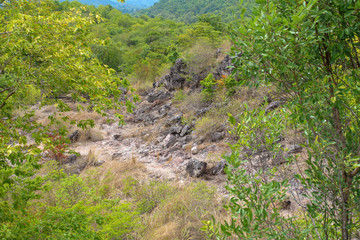 The rock walkway in the nature foest at thailand