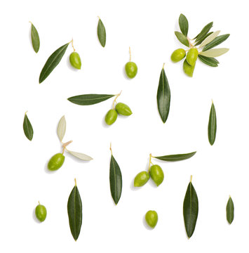  Green olive and leaves