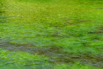 Sorgue in Fontaine-de-Vaucluse