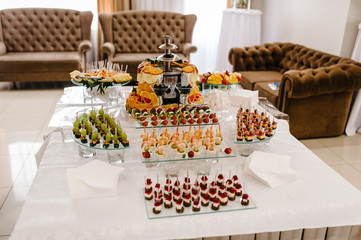 Light snacks in a plate on a buffet table. Assorted mini canapes, delicacies and snacks, restaurant food at event. Seafood. A gala reception. Decorated delicious table for a party goodies.