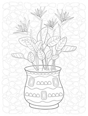 tropical flowers in a beautiful vase on the stone floor. strelitzia. black and white freehand drawing. coloring book for children and adults. template, cover, poster, print.