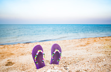 Two purple slippers stuck in the sand on the beach