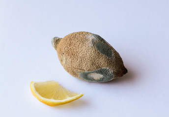 Trend-ugly food. Spoiled lemon with wrinkled and dry peel with mold and fresh yellow slice on white background closeup isolated. Design for magazine, site, book.