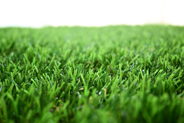 empty green grass turf floor artificial with white background
