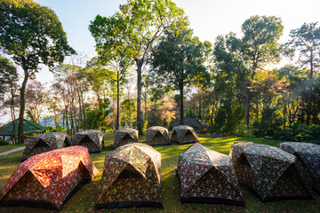 Tents forest in the  Doi Suthep National Park chiangmai Thailand