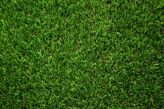 green grass turf floor artificial background