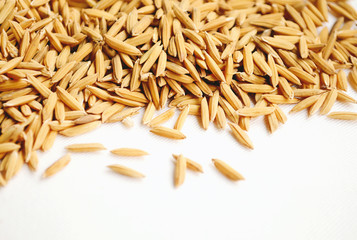  rice grains isolated on white fabric background