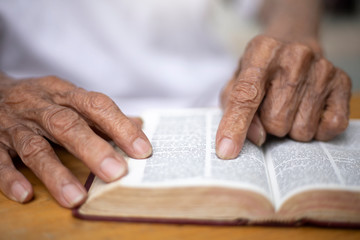 Old man reading The holy  bible 