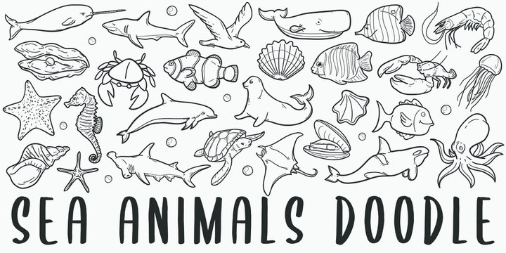 Sea Animals Doodle Line Art Illustration. Hand Drawn Vector Clip Art. Banner Set Logos.