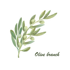 Watercolor olive floral illustration - olive branches for wedding stationary, greetings, wallpapers, fashion, backgrounds, textures,  wrapping, postcards, branding.