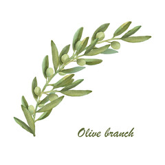 Watercolor olive floral illustration - olive branches for wedding stationary, greetings, wallpapers, fashion, backgrounds, textures,  wrapping, postcards, branding.