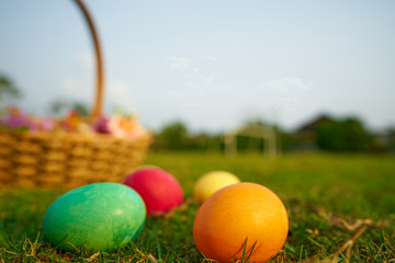 Easter eggs on the grass and baskets to place beautiful flowers and bokeh.