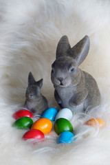 beautiful easter decoration with rabbit and colorful eggs on a white fur
