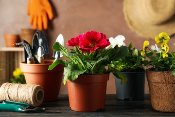 Flowers and garden tools on wooden table, close up