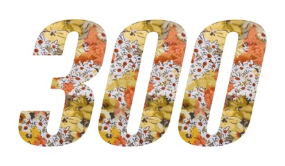 Number 300 with flowered fabric texture on white background.