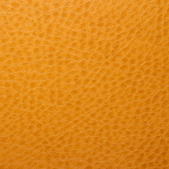 Brown textured skin.Light brown skin texture.The skin is light brown for the design.
