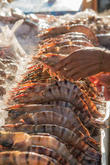 ASIA THAILAND HUA HIN NIGHT MARKET SEAFOOD