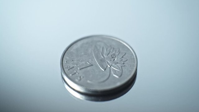 1 lats 2008 - Waterlily Closeup Coin of the Latvian republic