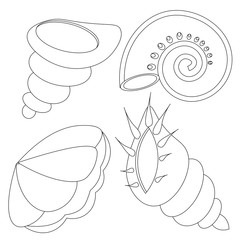 Set of black and white sea shells  different form. Icon collection in doodle style. Marine, summer and travel theme.