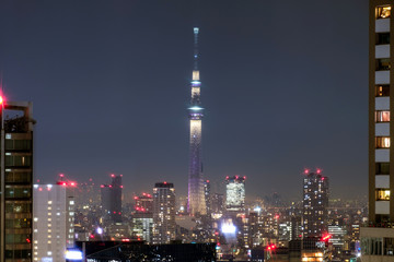 Fototapeta na wymiar View of city building with Tokyo Skytree at night