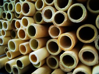 Bamboo drinking straw