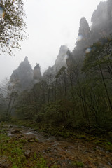 "Góry Awatarowe" w Chinach - Trekking w deszczu © Miroslaw