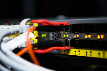 lan cables pluged in patch switch