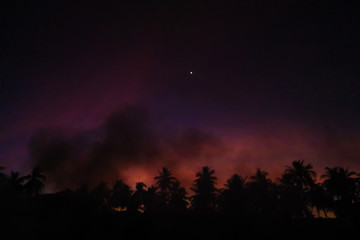 Smoke from a bonfire in a rainforest at sunset. Fires in the forest. Smoke on the background of palm trees at sunset