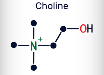 Choline,  C5H14NO+.vitamin-like essential nutrien molecule. It is a constituent of lecithin. Structural chemical formula and molecule model