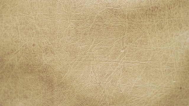 surface smooth polished textured shiny light leather